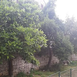 Kala Apartment